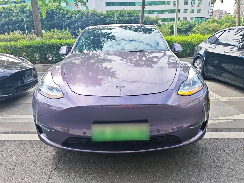 Tesla Model Y 2021 2021 Long Range All-Wheel Drive 3D7