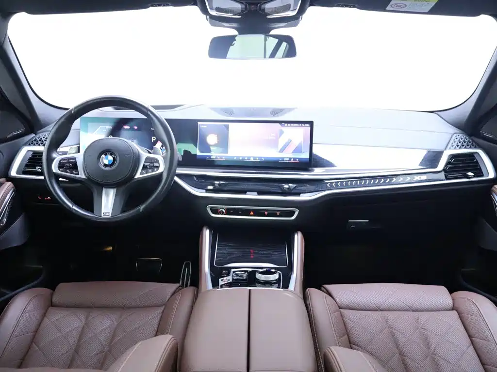 Photo 13 - BMW X6