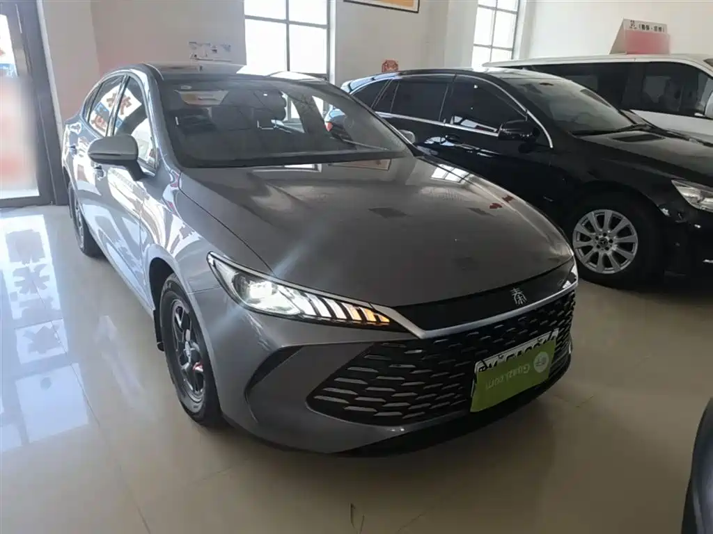 BYD Qin PLUS 2025 DM-i Smart Drive 55KM Leader фото 4