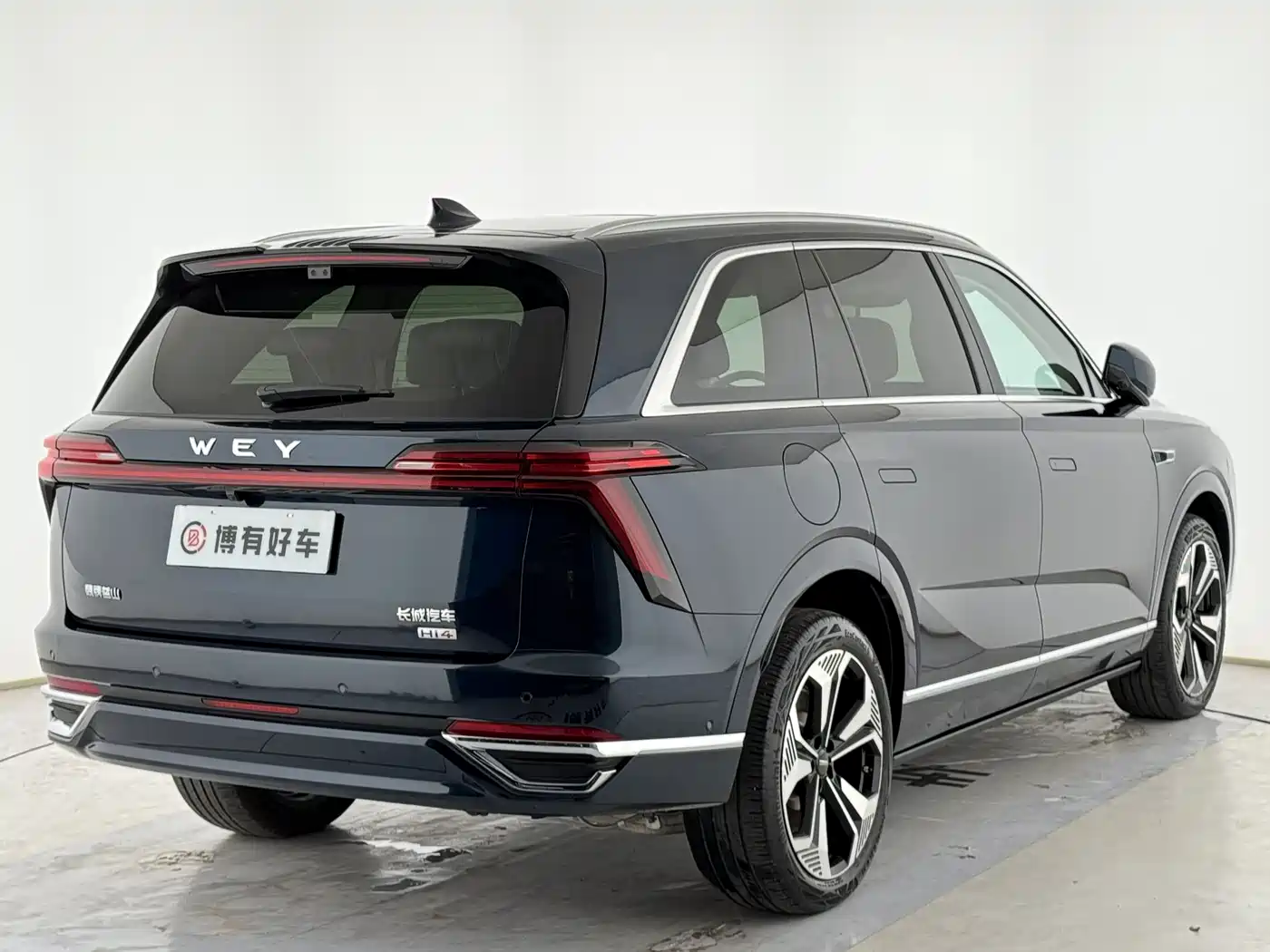 WEI PAI WEI BRAND BLUE MOUNTAIN