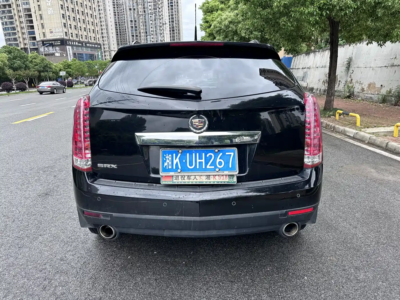 Cadillac SRX 2013 2013 3.0L Luxury