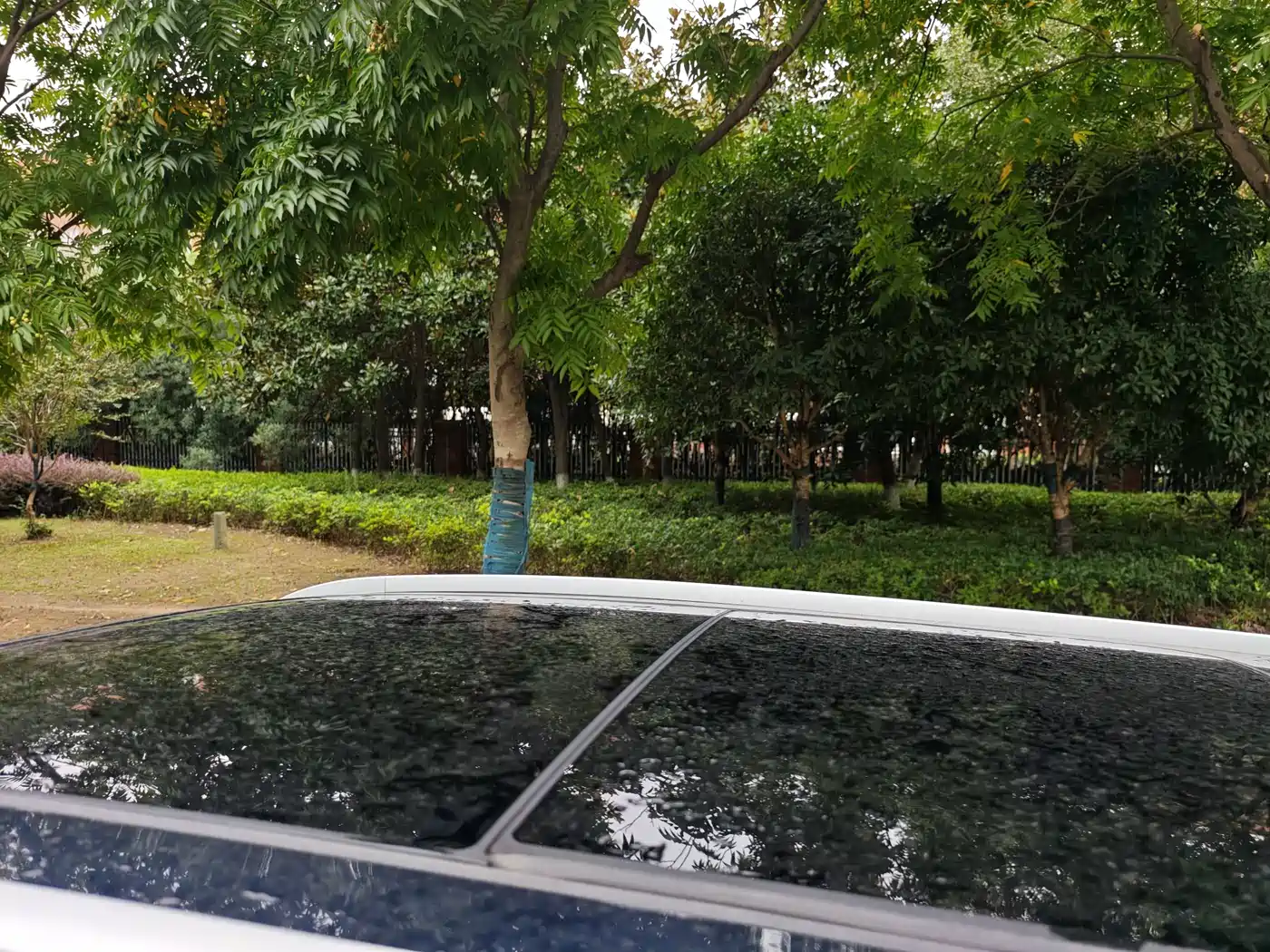 Changan Oshan X7 2020 2020 1.5T Facial Recognition Full Auto Parking Space Leisure Edition
