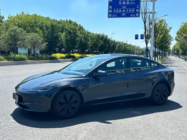 Tesla Model 3 Задний привод