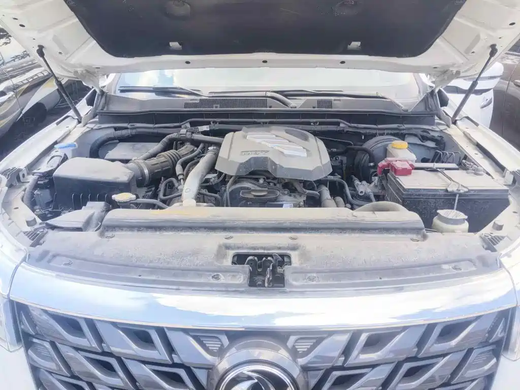 2023 Dongfeng Rich 7