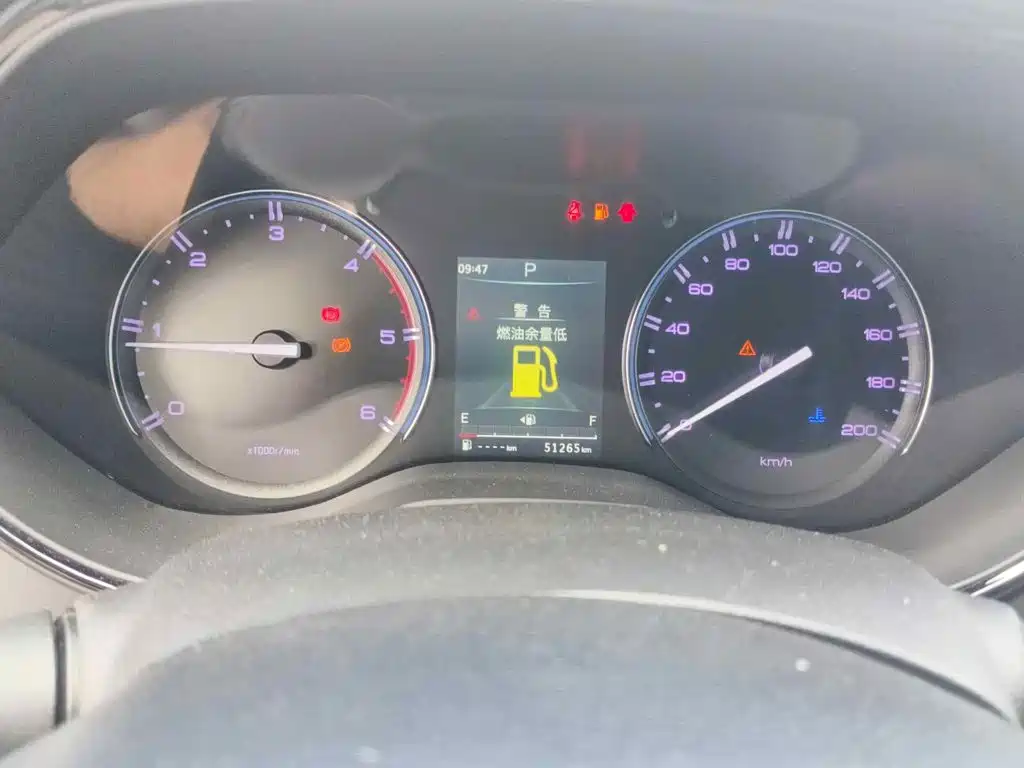 2023 Dongfeng Rich 7