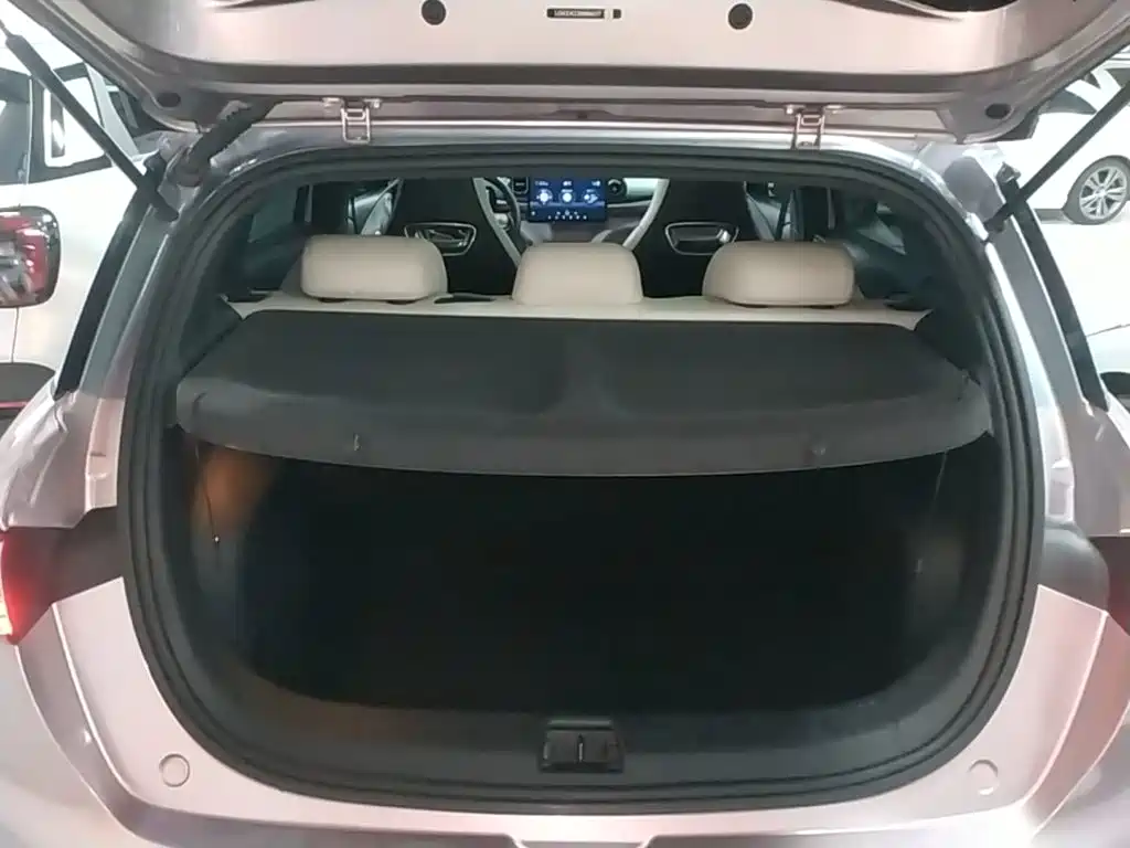 BYD Dolphin 2021 2021 Model 405km Fashion Edition