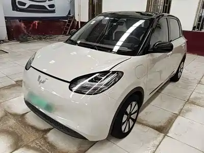 Wuling Bingo