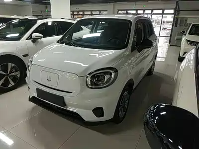 Leapmotor T03