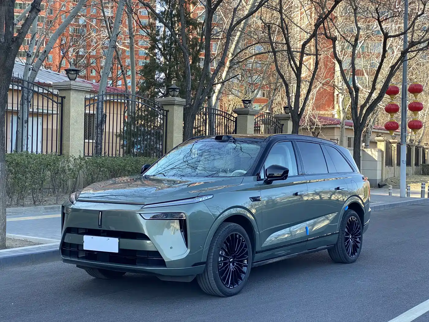 WEI PAI WEI BRAND BLUE MOUNTAIN