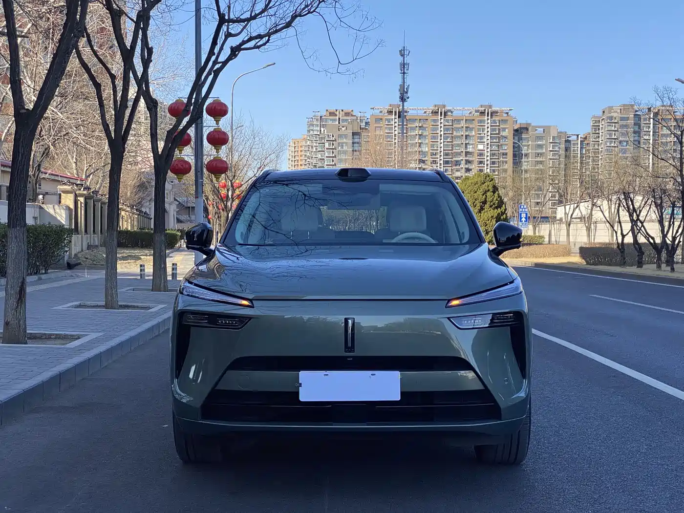 WEI PAI WEI BRAND BLUE MOUNTAIN