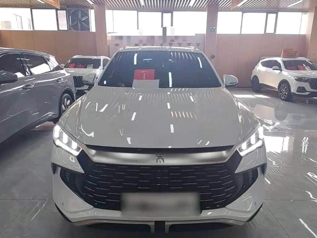 BYD Song Pro New Energy 2024 Glory Edition DM-i 71KM Leading фото 3