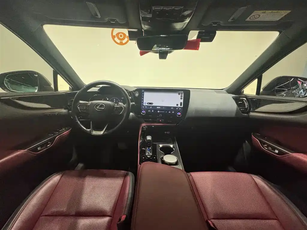 Фото 12 - Lexus NX
