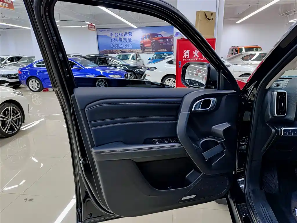 Haval Big Dog 2024 2.0T DCT Chinese Rural Dog Edition фото 6