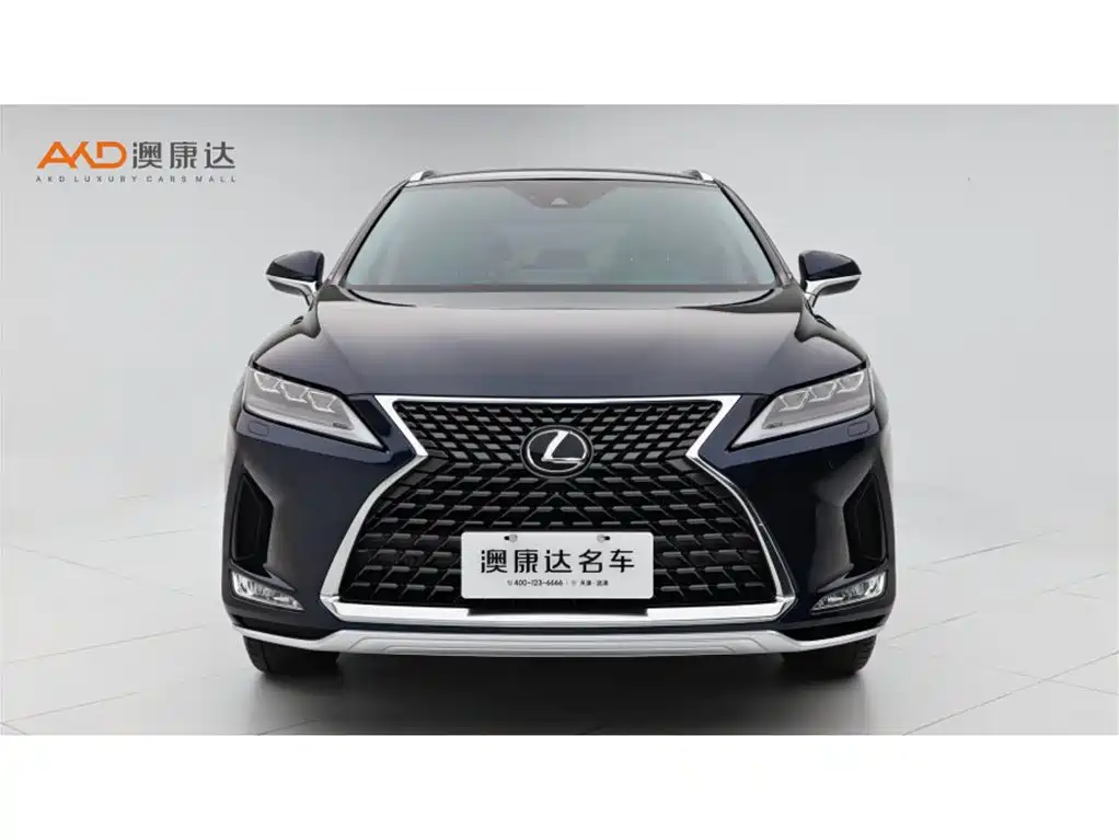 Lexus RX 2020 300 4WD Elegance Edition China VI фото 2