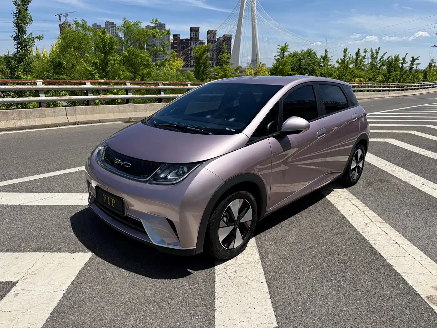 BYD Dolphin 2023 420km Freedom Edition