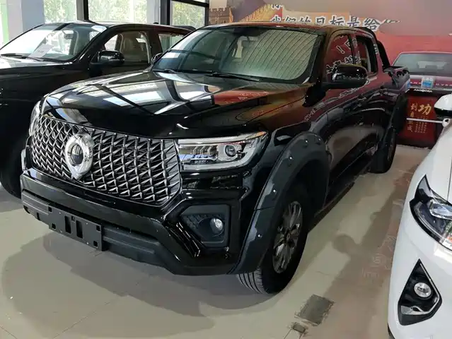 Great Wall Pao 2023 2.0T Commercial Auto Gasoline 2WD Elite Long Box GW4C20B