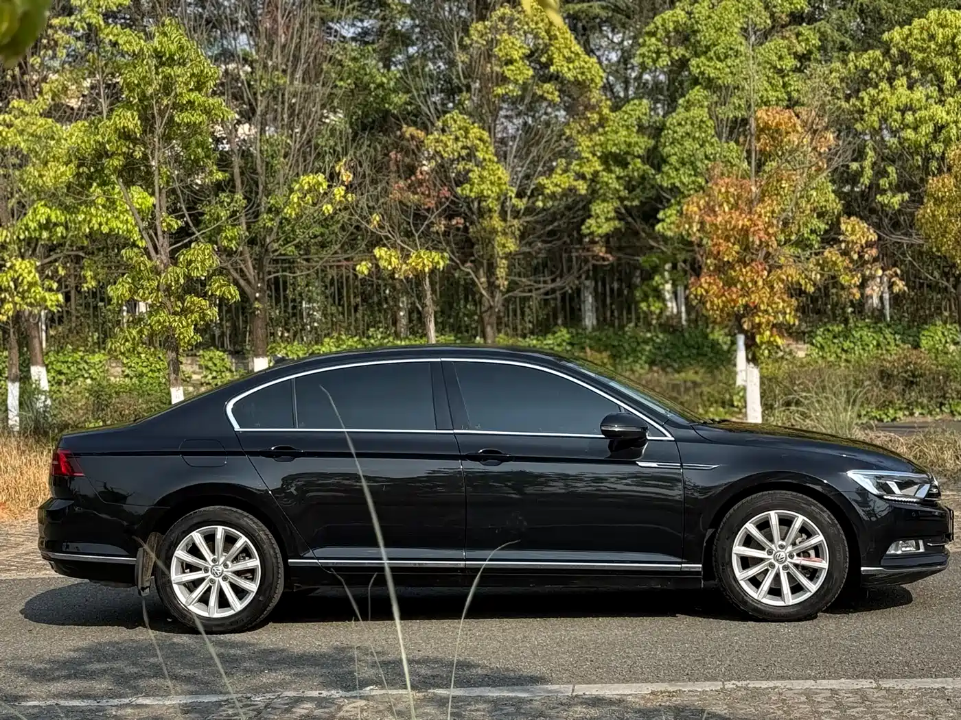 Volkswagen Magotan 2019 330TSI DSG Leading China VI фото 25