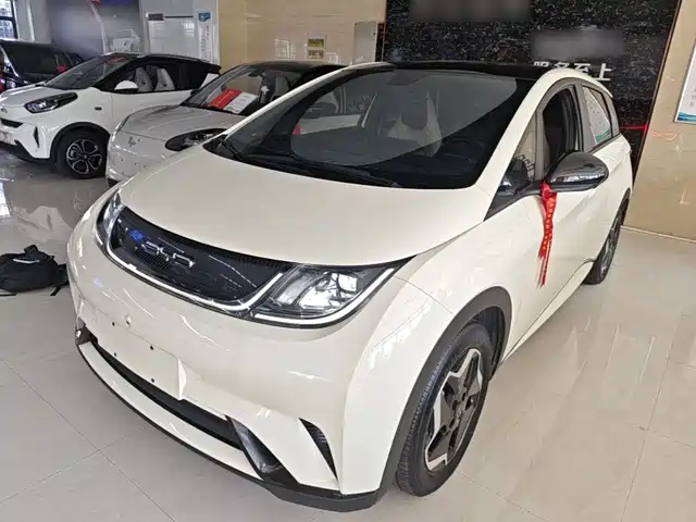 BYD Dolphin 405km, Стиль
