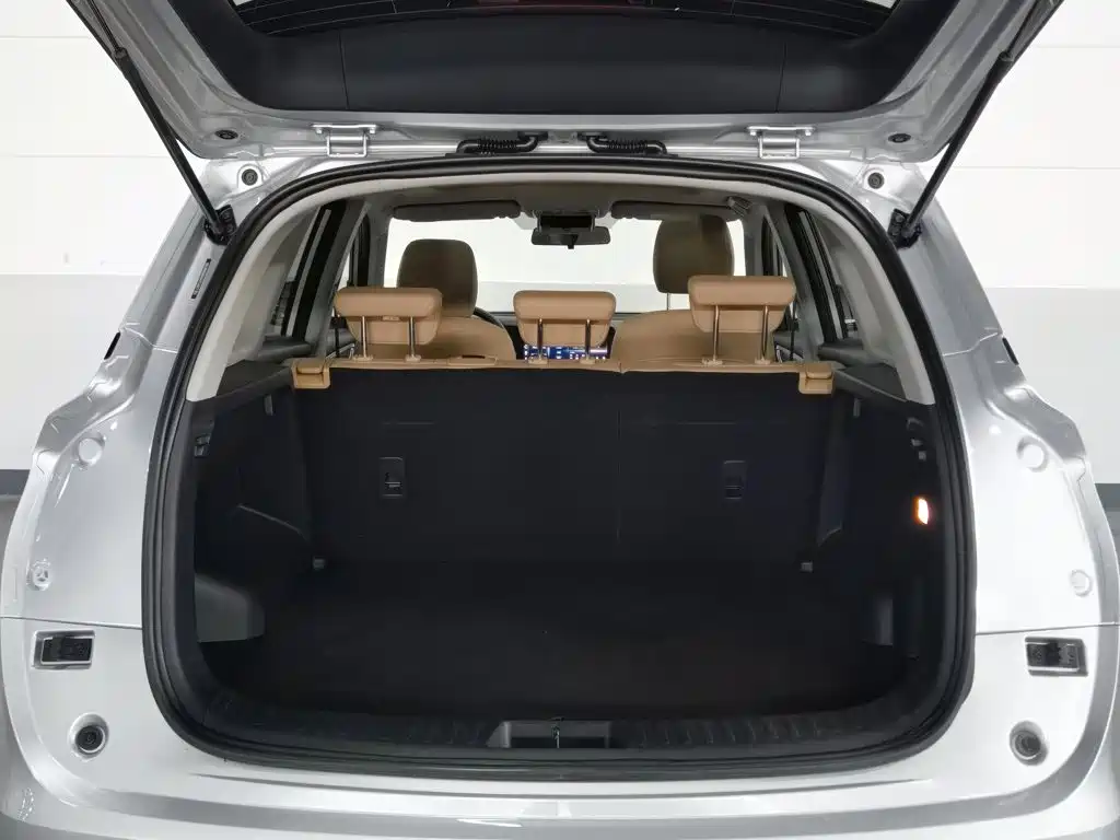Landian E5 2024 2023 1.5L DE-i 100KM Enjoyment 5-Seater