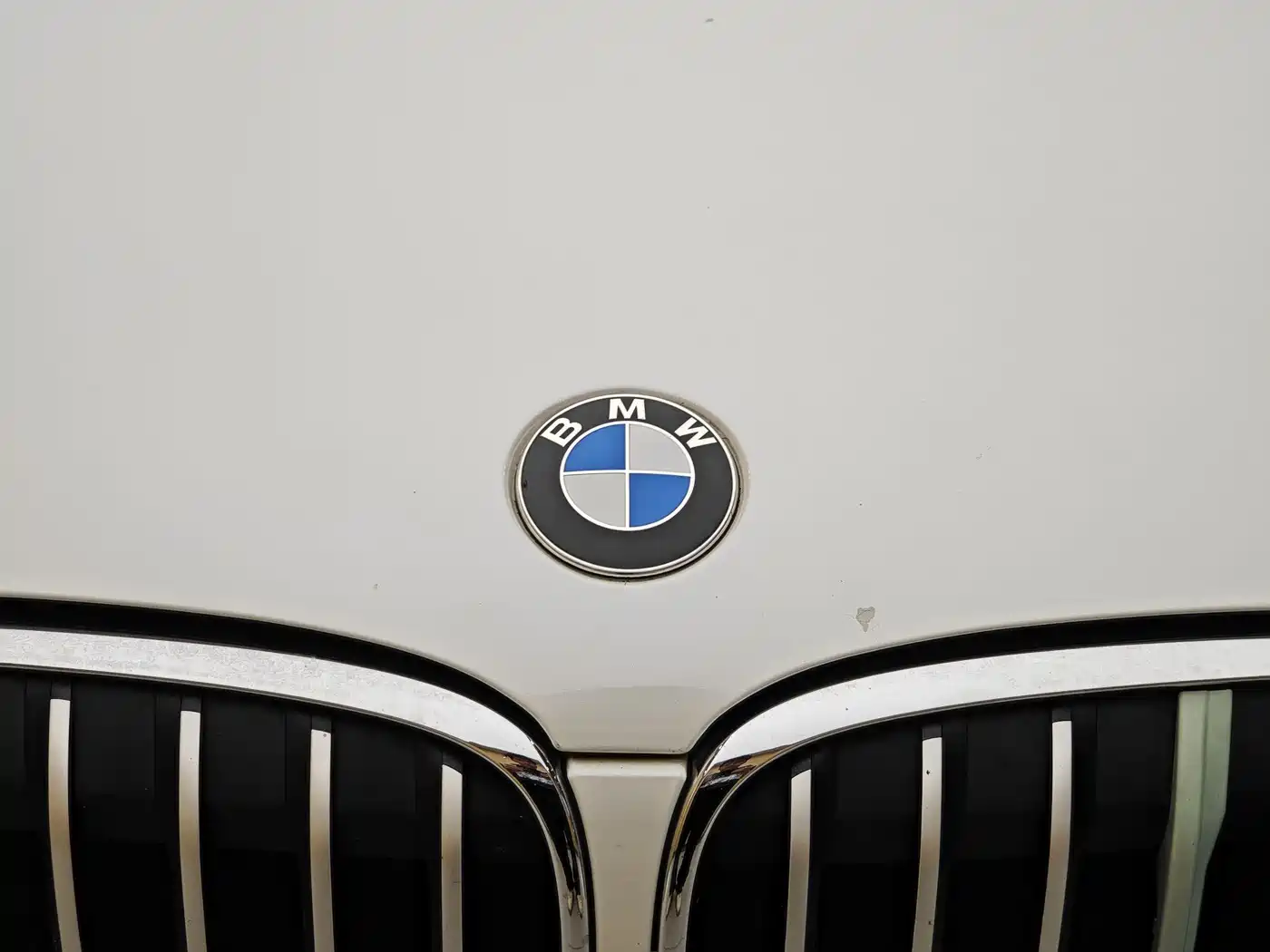 BMW X1 2019 sDrive18Li Fashion Model фото 3