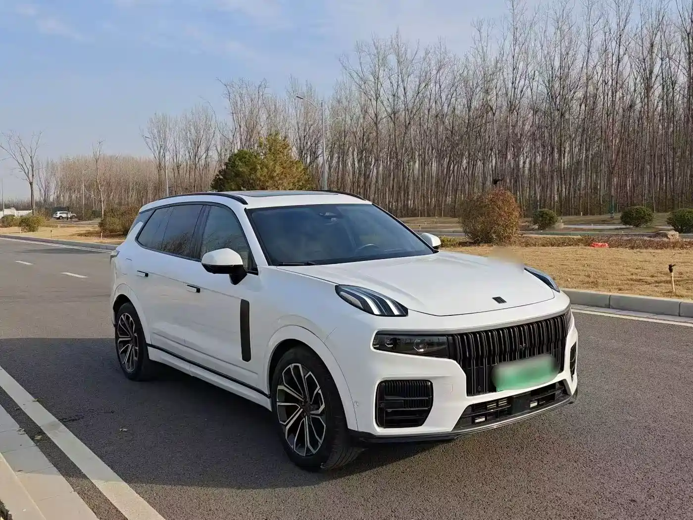 Lynk & Co 09 EM-P 2021 2.0T PHEV Halo 6-seater фото 3