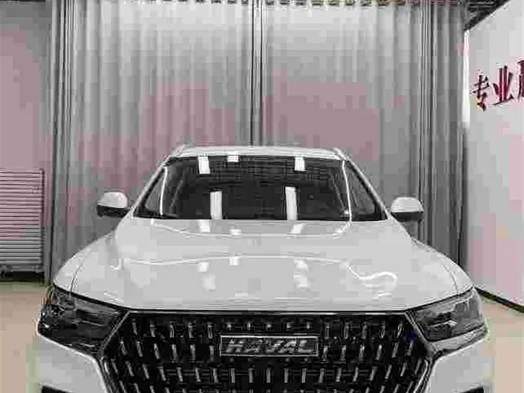 Haval H6 2023 National Trend Edition 1.5T Automatic Urban фото 2