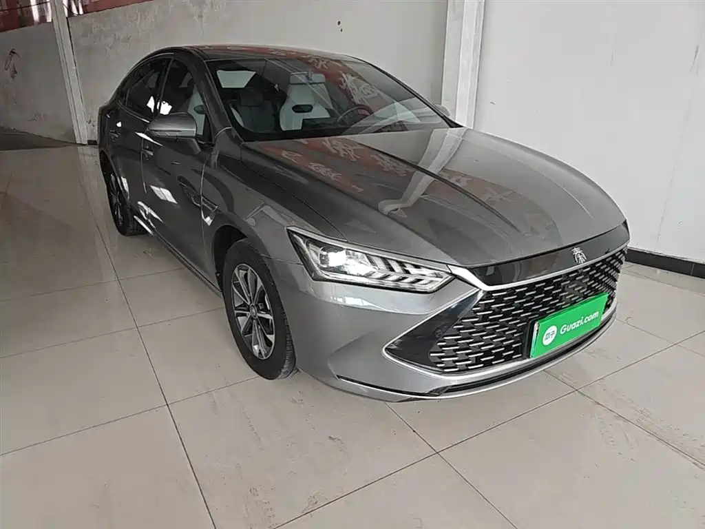 BYD Qin PLUS 2023 Champion Edition DM-i 55KM Leading фото 4