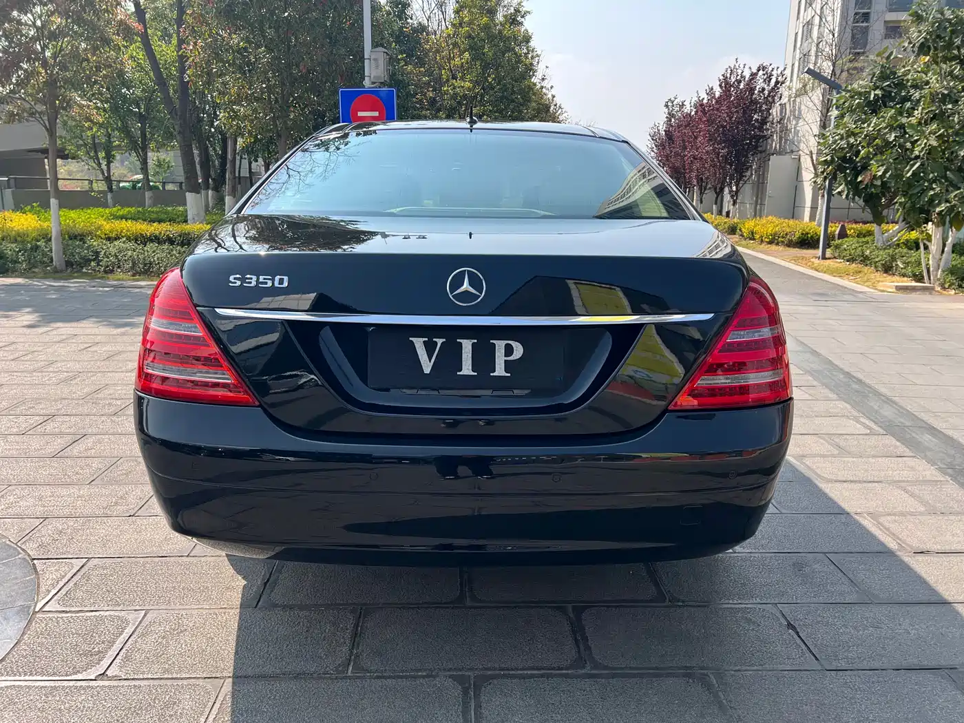 Mercedes-Benz S-Class 2010 S 350 L Luxury фото 14