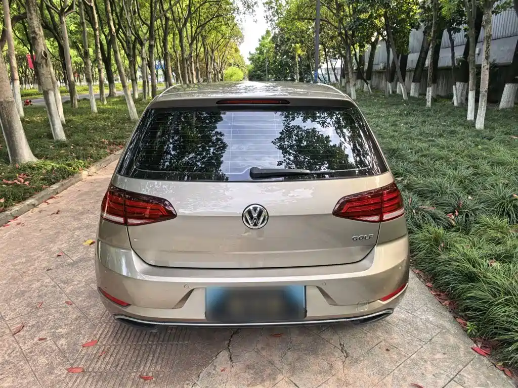 Volkswagen Golf 2018 1.6L Automatic Comfort фото 8