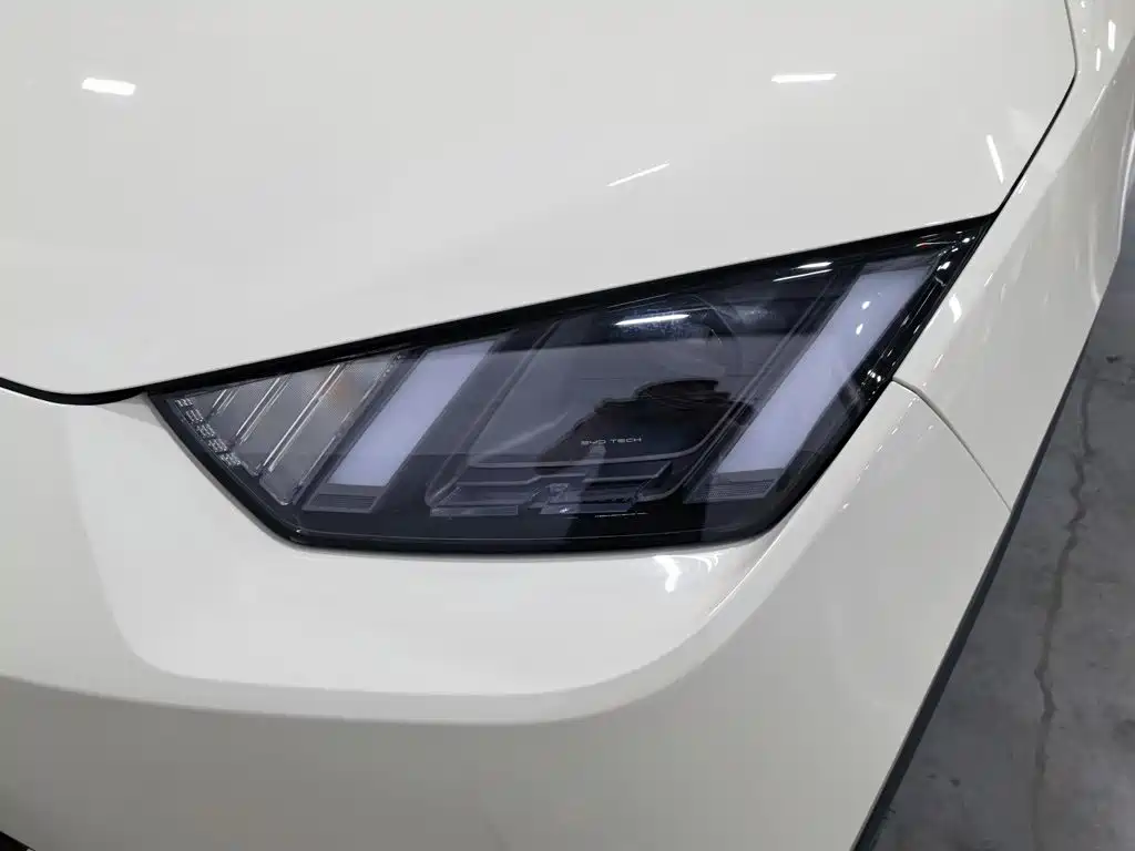 صورة 7 - BYD Seagull