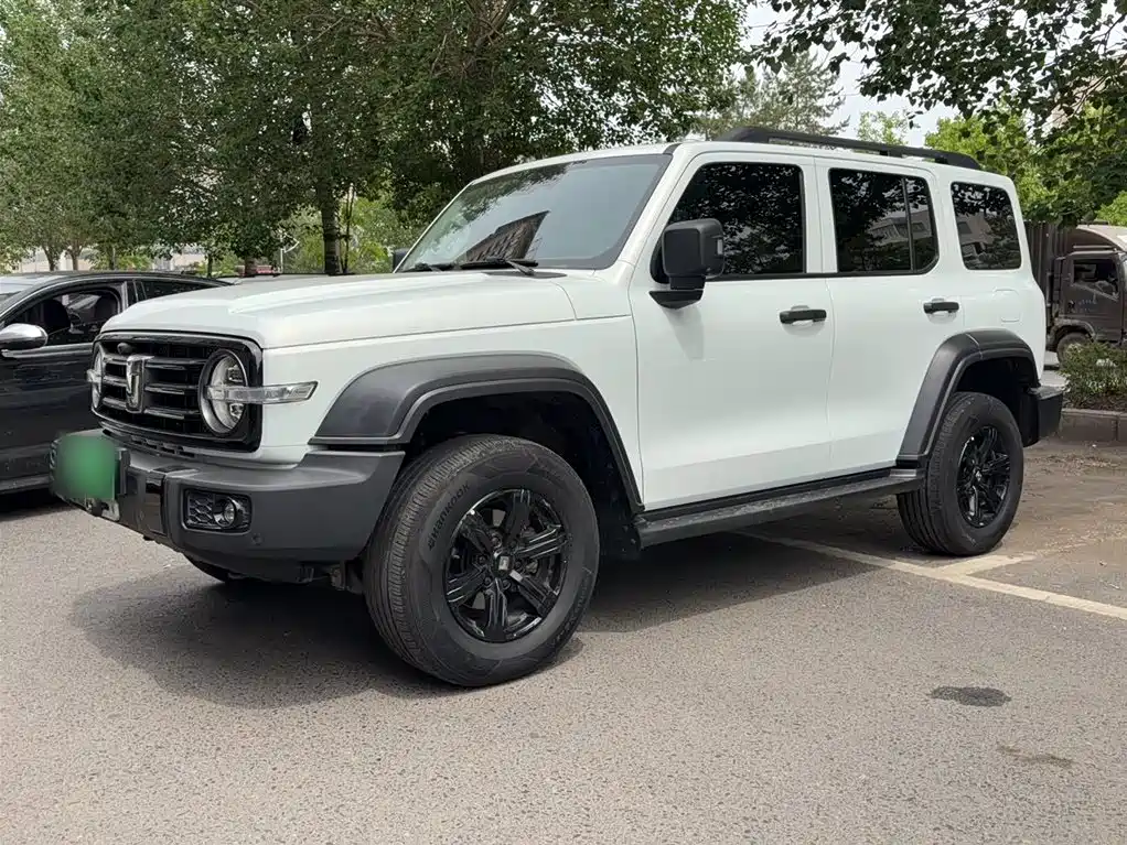 Tank 300 2021 Off-road Version 2.0T Conqueror фото 6