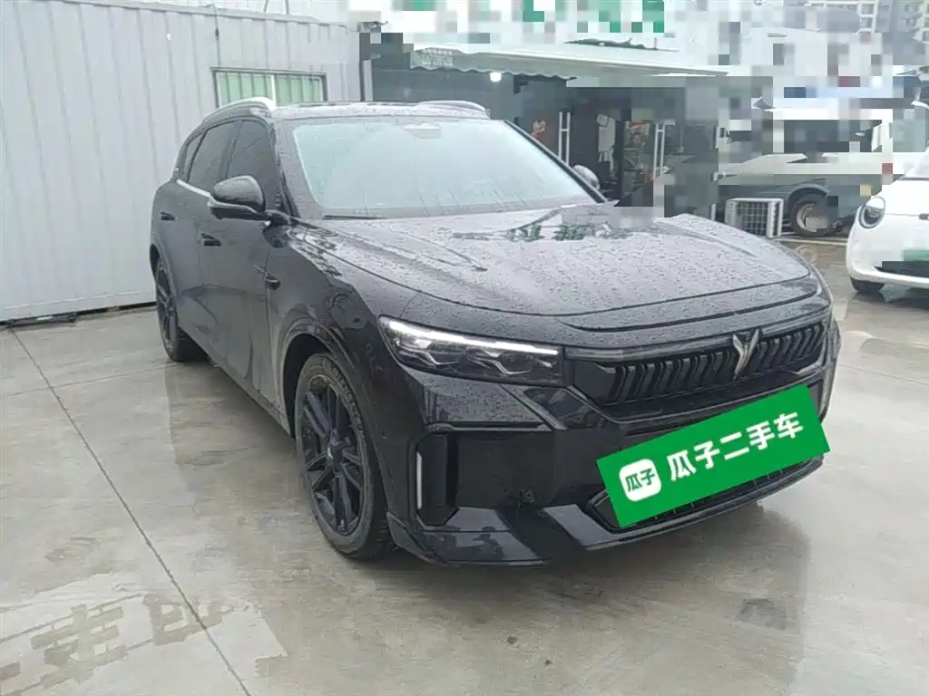 Voyah Auto VOYAH FREE 2024 Ultra Long Range Intelligent Driving Edition фото 4