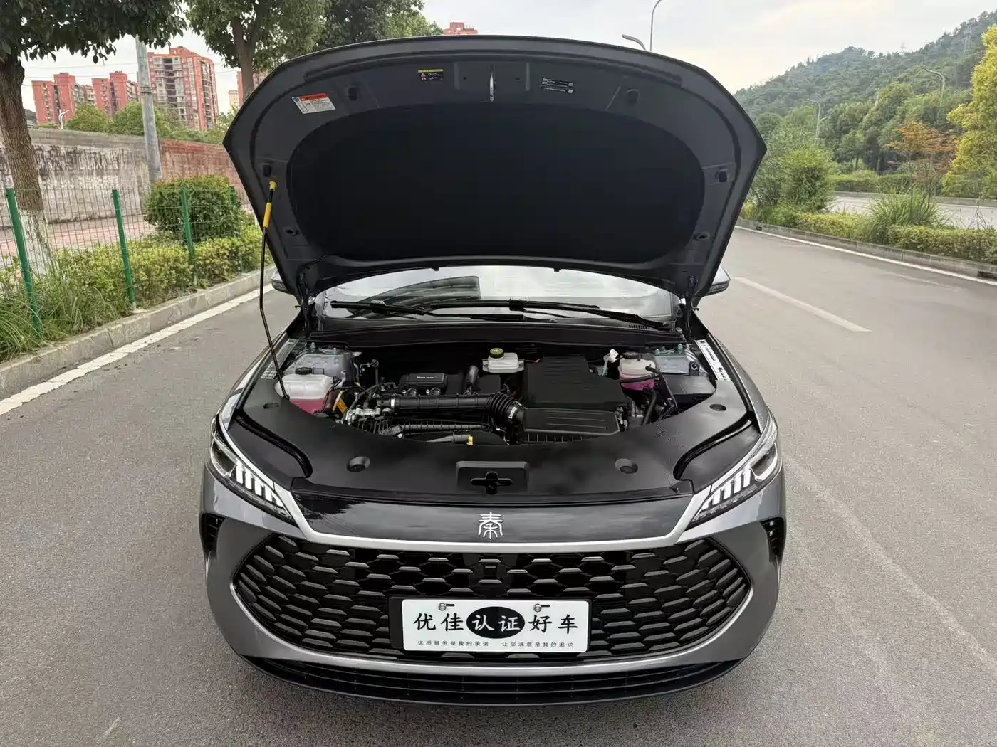 BYD Qin PLUS 2026 2026 DM-i 128KM Progressive