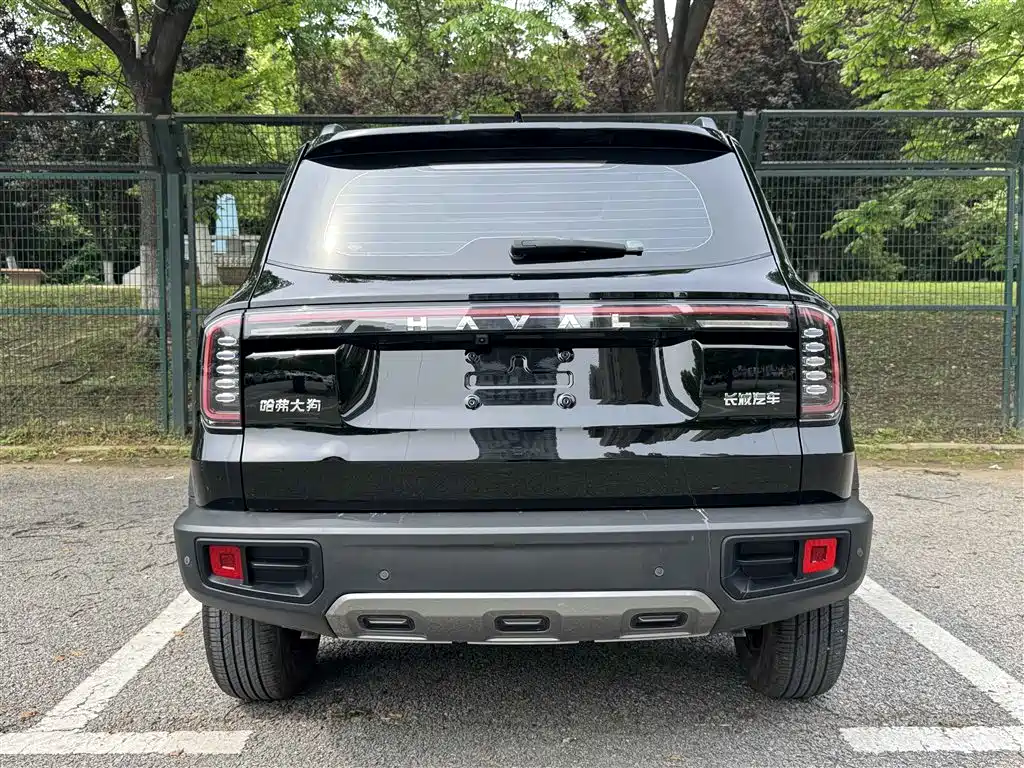 HAVAL BIG DOG
