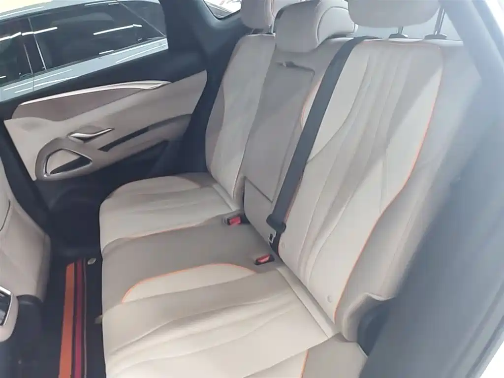BYD Song Pro New Energy 2024 Glory Edition DM-i 71KM Leading фото 17