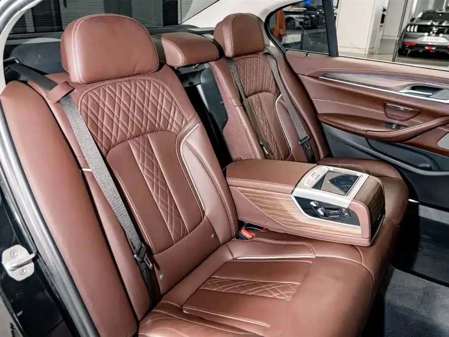 BMW 5 Series 2020 530Li Premium Luxury Package фото 25