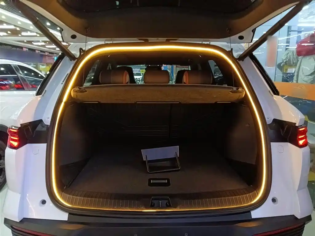 BYD Song Pro New Energy 2023 Champion Edition DM-i 110KM Excellence фото 19