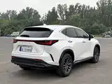 Фото 11 - Lexus NX