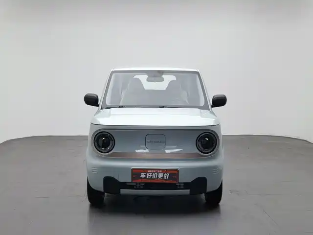 Geely Galaxy Panda 2023 Panda Mini 200km Endurance Bear — фото 3