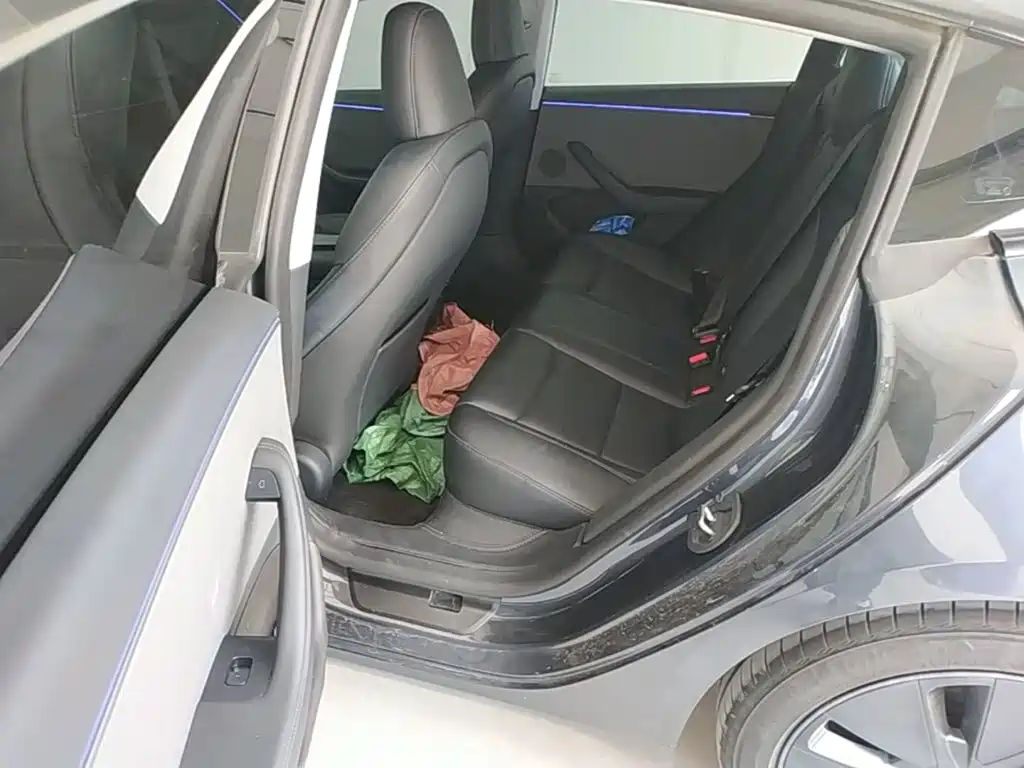 Tesla Model 3 2025 2025 Model Rear-Wheel Drive Edition