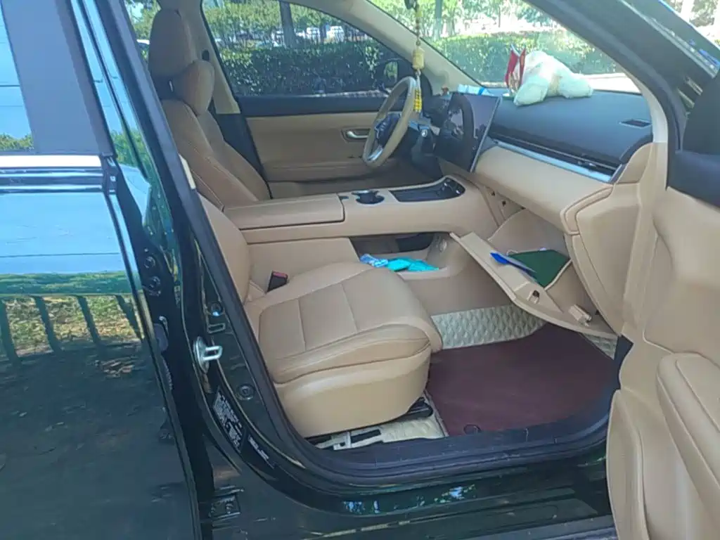 Landian E5 PLUS 2024 2025 165km Long Range Pro (5-Seater)