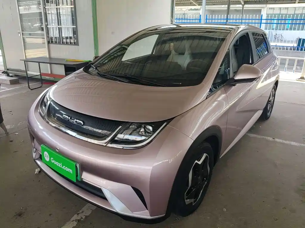 BYD Dolphin 2021