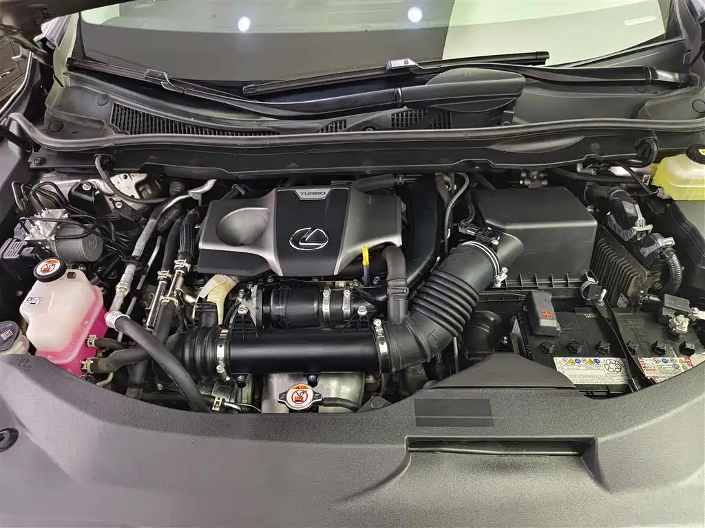 Lexus RX 2020 300 2WD Elite Edition China VI фото 16