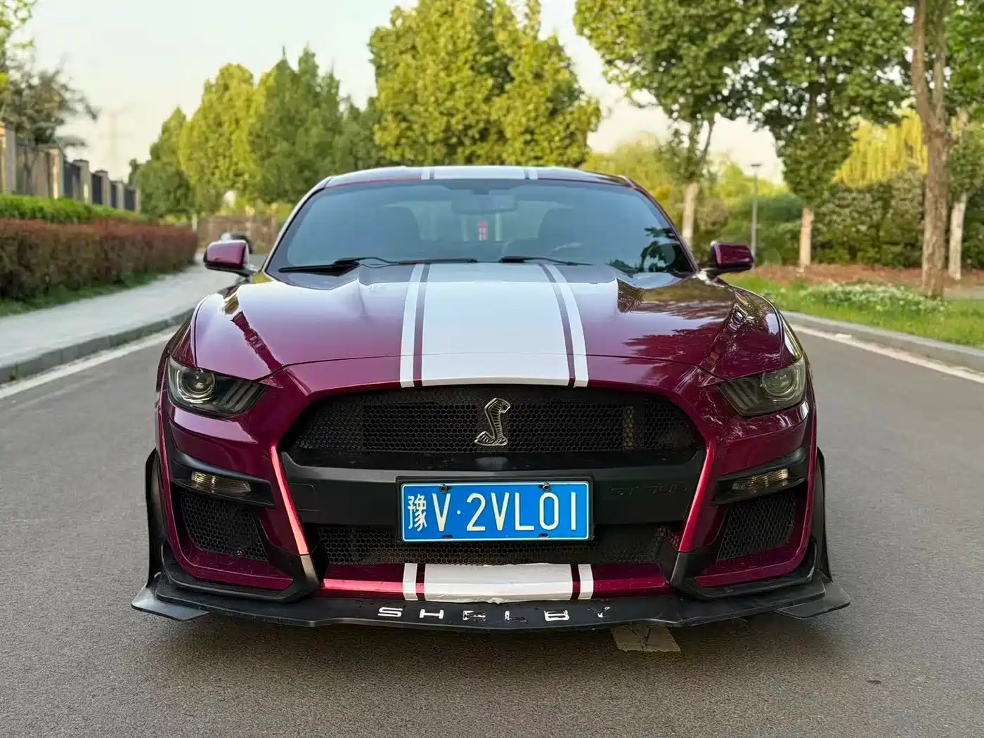 Ford Mustang 2016 2016 2.3T Performance Edition