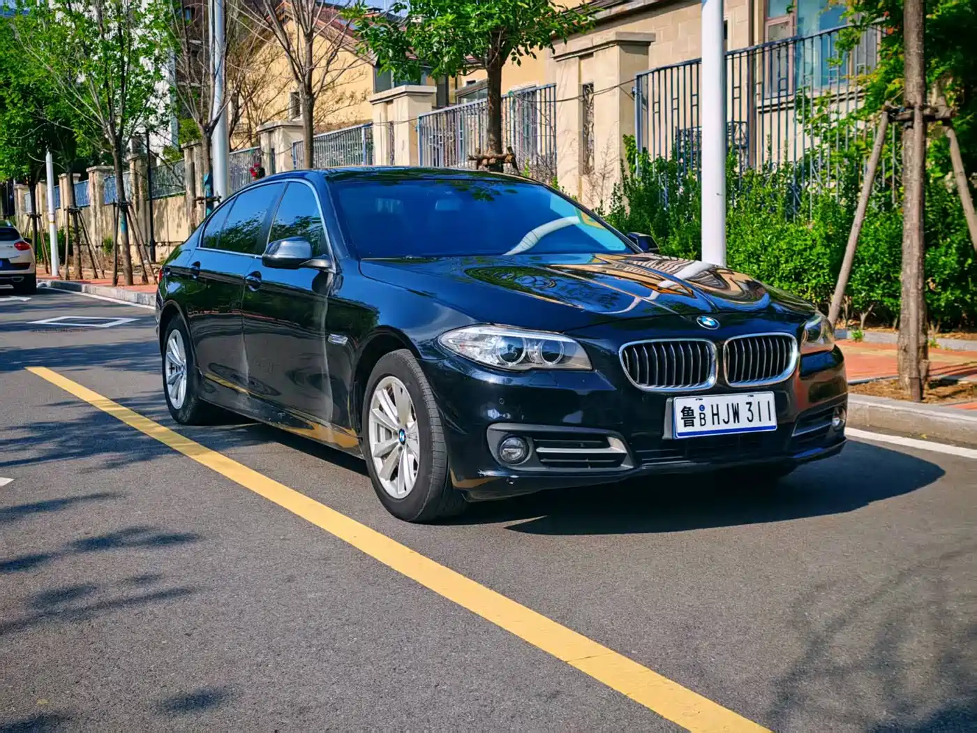 BMW 5 Series 2014 520Li Elegance фото 3
