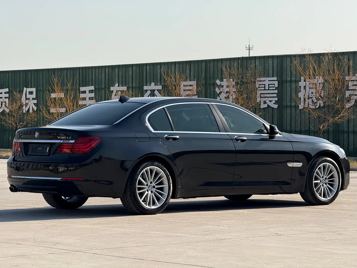 BMW 7 Series 2014 730Li Premium фото 7