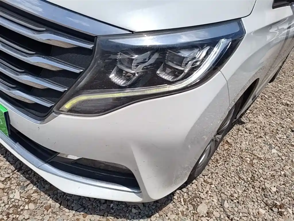 GAC Trumpchi Trumpchi M8 2018 320T Exclusive Edition фото 24
