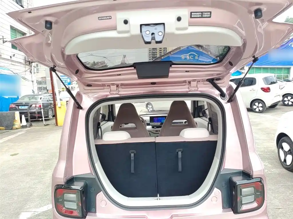 Geely Galaxy Panda 2025 Panda mini 210km Vitality Bear фото 19