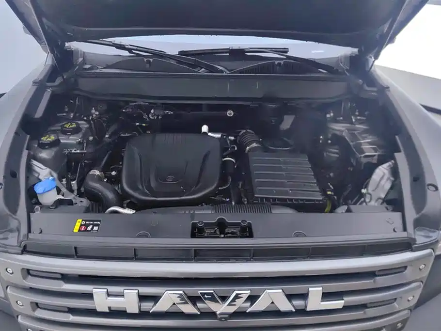 HAVAL RAPTORS NEW ENERGY