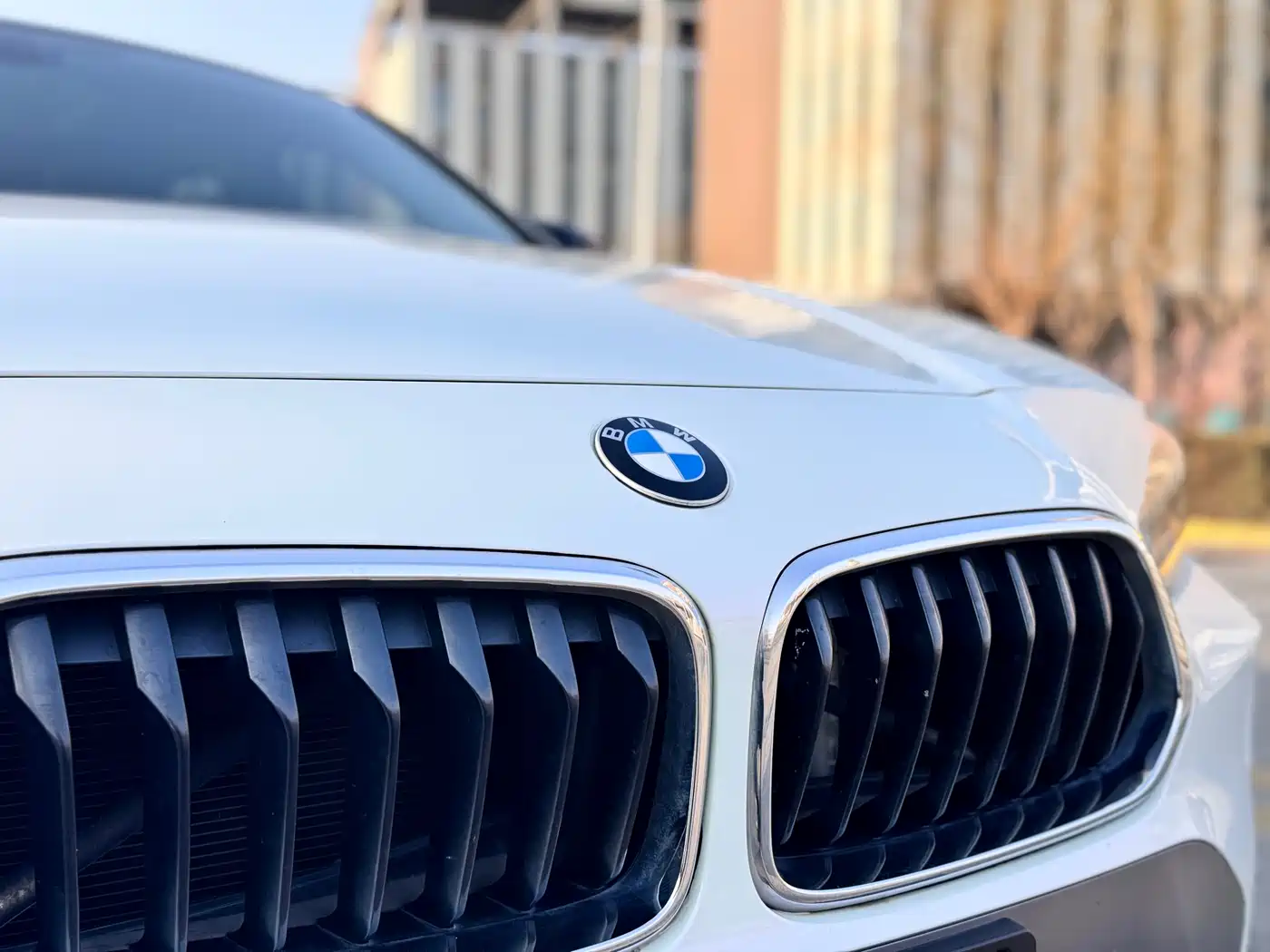 BMW X2 (Import) 2019 sDrive20i M Off-Road Package China VI фото 6